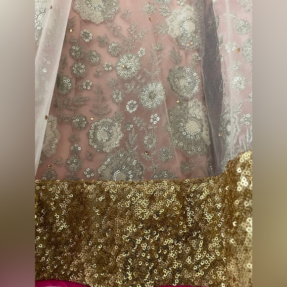 Indian / Pakistani lehenga choli - Picture 4 of 4